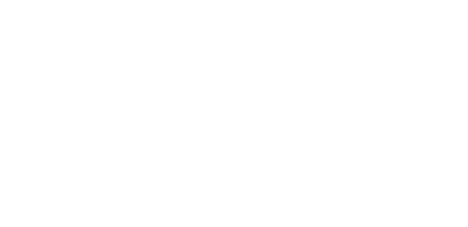 Easy Gripper 2160 Compact - tyre diameter and lifting capacity specs