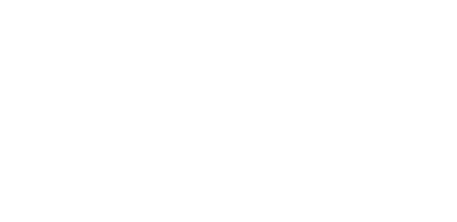 Easy Gripper 2400-2T - tyre diameter and lifting capacity specs