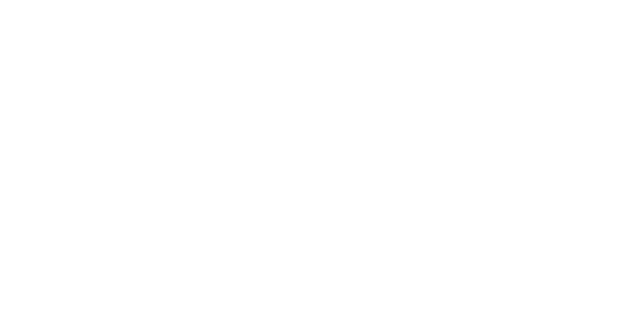 Easy Gripper 2800-3.2T - tyre diameter and lifting capacity specs