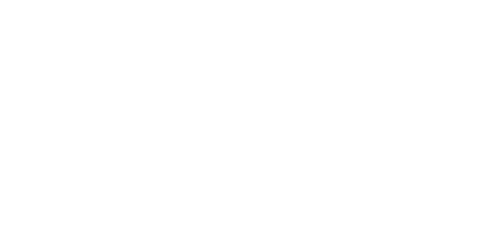 Easy Gripper 3400-5T - tyre diameter and lifting capacity specs