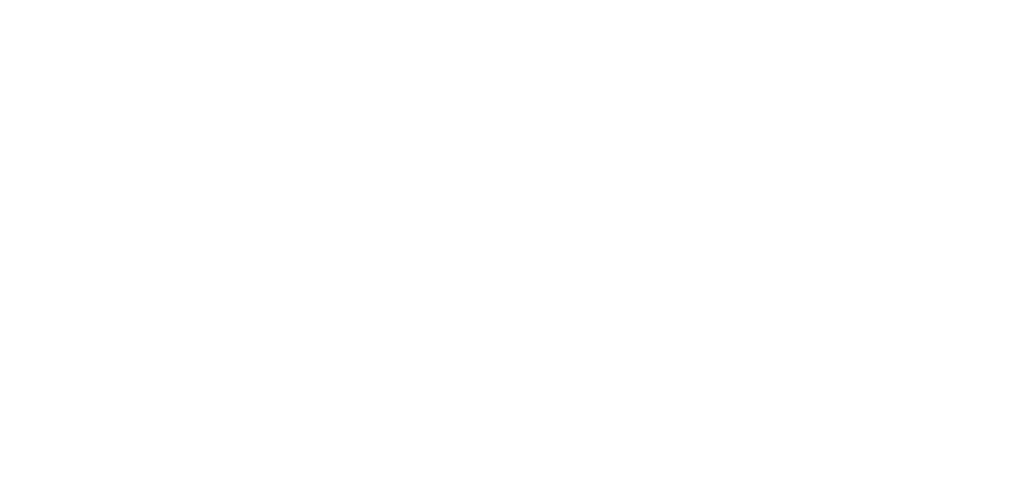 Easy Gripper Workshop 2T - tyre diameter and lifting capacity specs