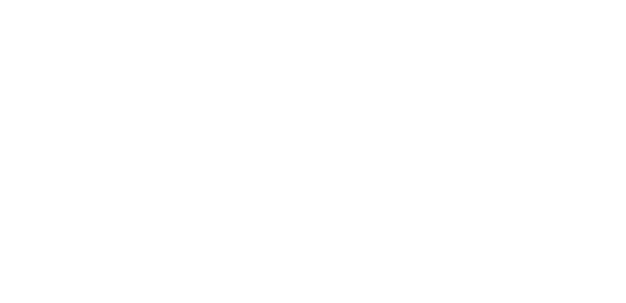 Easy Stacker 800 - tyre diameter and lifting capacity specs